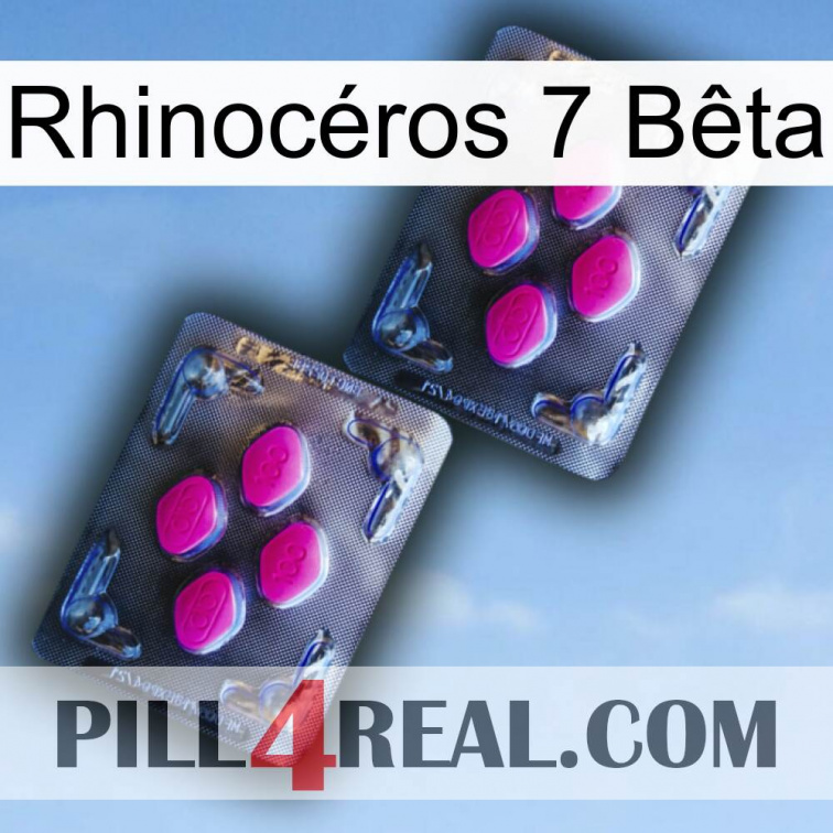 Rhinocéros 7 Bêta 01